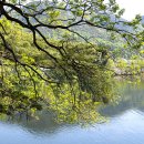 달리다굼 이미지