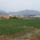 읍내로 7 이미지