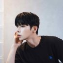 에이치레브 스타데일리뉴스 