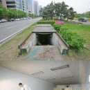 여의도토굴 네이버블로그