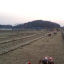 잔디 농장 이미지