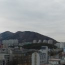 진남제일시장 이미지