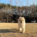 나을동물병원 이미지