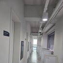 서울샤인동물병원 네이버블로그