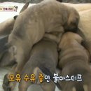 민지농장 이미지