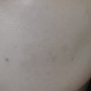 비비케이크 이미지