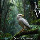 Tropical Forest Birds | Life Of Birds In Rainforest | 이미지
