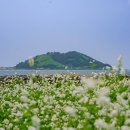 오션관광 주식회사