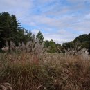 연천전곡리유적 이미지