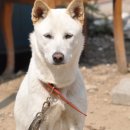 백두농장 이미지