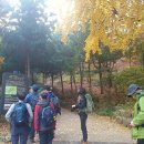 우면산3-11 이미지