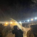 우복동편백펜션