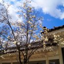 보문호수 이미지