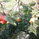 수지농장 이미지