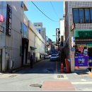등대약국 앞 이미지