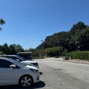 수달1985 이미지