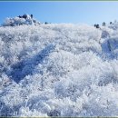 이재옥농장 이미지