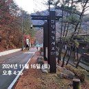 비로사진공대사보법탑비 | 소백산 비로봉 단풍구경 등산코스