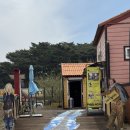 키다리아저씨 애견샵 | [충남/태안] 강아지와 명화를 즐길 수 있는 안면도 오마이갤러리(애견동반가능)