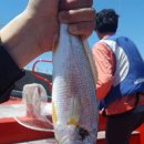 오케이낚시 이미지