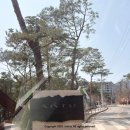 커피특별시 인동점 | 서울 리조트 끝판왕! 북한산 정취와 호캉스 하기 좋은 곳 안토호텔(구 파라스파라) 팀버 객실 수영장...