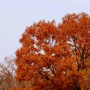 선학산전망대 이미지