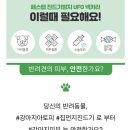 페스탑