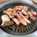 탐라우돈 이미지