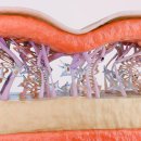 리영의원 이미지