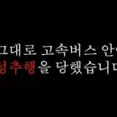 꽁지꽁지 조선일보