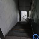 덕신동물병원 네이버블로그