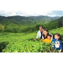 고원농장 | 쿠알라룸푸르 근교 당일치기 여행 여기가 답! 말레이시아 카메론 고원 투어 솔직 후기 (feat. 인생샷 보장)