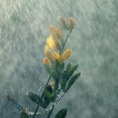 옷나라이불세상 이미지