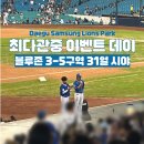 알통떡강정삼성라이온즈파크점 | 데이 | 대구 삼성라이온즈파크 블루존 3-5구역 31열 시야 | 알통떡강정, 에버글로우 시구, 이지카이트 공연