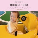 카페191 | [공지] 육아일기 191주 9월 키즈노트 사진 과자 케이크 만들기 키트 세라젬 웰파크 위례점