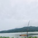 핫한핫도그 이미지
