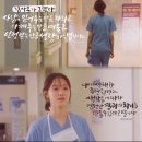 꿈트리 이미지