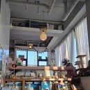 뱅갈냥이 | 안동 고양이 천국 귀여운 북카페 통659