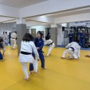 아이엠유도관 이미지