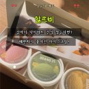 새싹 동물병원 | 강아지다이어트 간식 추천 알프비 빈즈31 아이스크림처럼 얼려준 후기 | 강아지몸무게 관리 애견간식