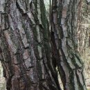 상리마을회관 이미지