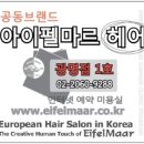 새마을미용실 티스토리