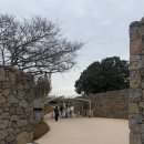 이호공원 | [ 제주 파호이호이 라바필드파크 ] 3월 오픈 이벤트 무료입장 애월 가볼만한 용암지질공원 관람 후기