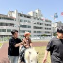 유펜) 포니를 만났어요 🐴🤎 (1) 이미지