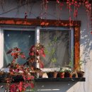 서학동예술마을 이미지