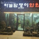 역삼가애어린이집 | 역삼동꽃집 하늘담쟁이 가격 위치 영업시간