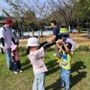 수봉공원 (유아숲체험원) 이미지