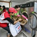 동신세탁 이미지