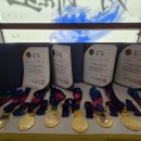 경희대 대영 태권도장 이미지