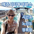 지에스(GS)25노형월광점 | 제주공항 제주시티투어버스 정류장 시간표 노선 요금 가격 이용방법